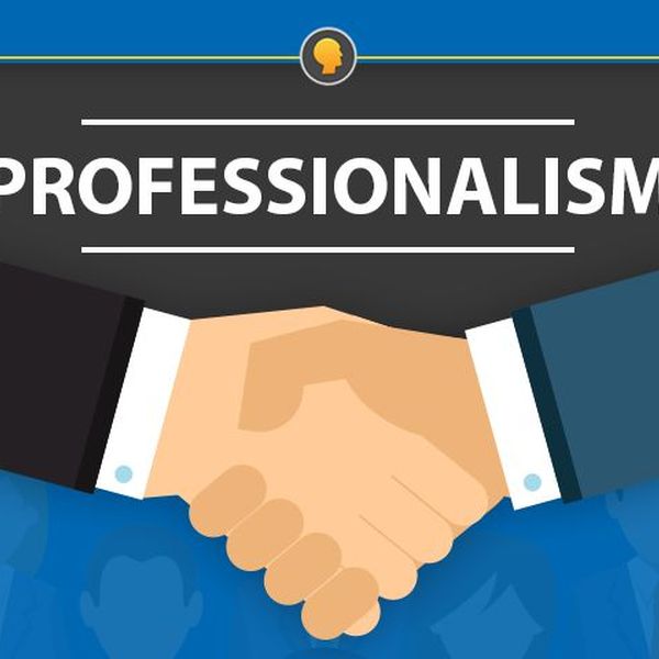 Professionalism Essay Examples